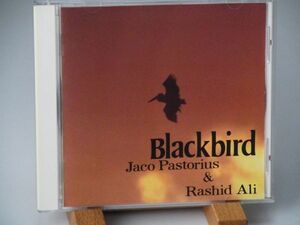 【ALFA JAZZ TIMELESS原盤】JACO PASTRIUS　ジャコ・パストリアス　RASHID ALI　BLACK BIRD