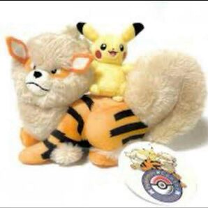 【新品未使用】ポケセン 沖縄限定 ウィンディとピカチュウ ぬいぐるみ