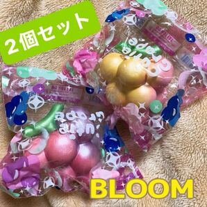 SALE!BLOOM キューティグレープスクイーズ2個 スクイーズ 美品 ブルーム