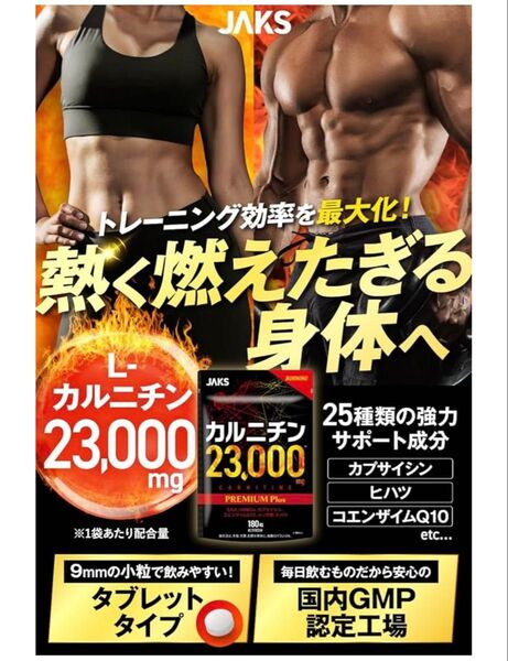 カルニチン 23000mg ダイエット EAA HMB カプサイシン コエンザイムQ10 αリポ酸 ヒハツ ビタミン11種 サプリ