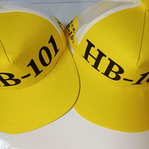 HB-101帽子 2個