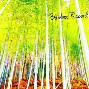 初物 たけのこ 2キロ 体験も人気