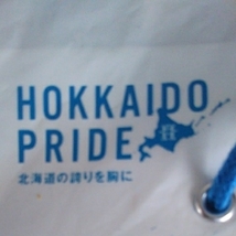 日本ハム ファイターズ 2007 パ.リーグ 優勝記念 タオル マフラー .オフィシャル.グッズ ポリー.ポラリス クリアファイル + おまけ _画像10