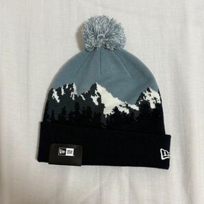 【新品】 ニューエラ ポンポンニット FW24 ビー人