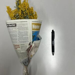 ミモザ ドライフラワー