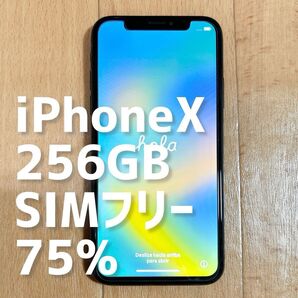 Apple iPhoneX スペースグレイ MQC12J/A 256GB SIMフリー 最大容量75%