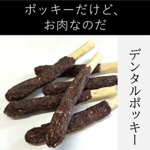〈無添加おやつ〉デンタルポッキー 6本入り【犬用】ペット おやつ 無添加 ガム カミカミ 歯石