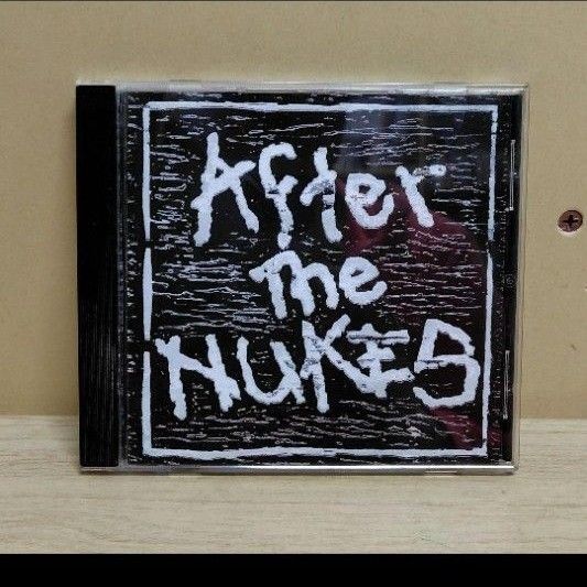 After The NUKES /in the Capital CD