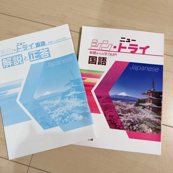 【新品】シン ニュートライ 2024年度 国語 高校受験 高校入試