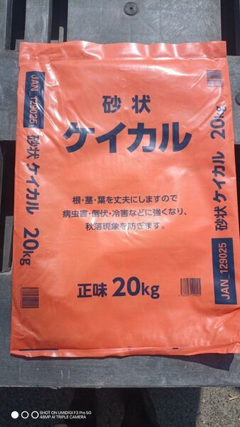 肥料袋 野菜苗などのしおれ対策風よけ(行灯)として 15kg 10枚