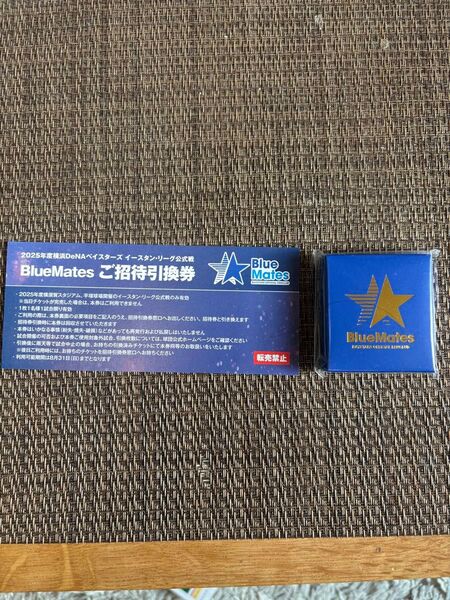 BlueMates イースタンリーグ公式戦 ご招待引換券 2025年+日本一チャンピオンメダル
