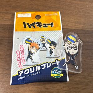 ハイキュー!! アクリルプレート月島蛍