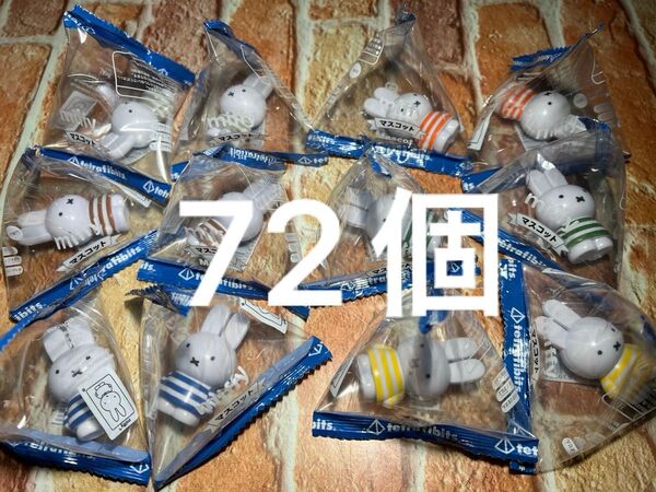 ミッフィー テトラフィビッツ ボーダー 72個セット
