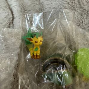 GEMSTONE COLLECTION 光り輝くしんぴのキセキ リーフィア