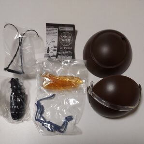 ゴマダラカミキリ いきもの大図鑑くわがた04 新品未開封