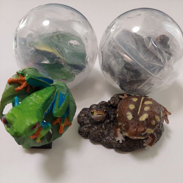 いきもの大図鑑 両生類02 アメフクラガエル アカメアマガエル 2種類セット