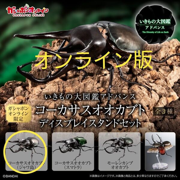 コーカサスオオカブト ジャワ いきもの大図鑑アドバンス オンライン版 新品未開封