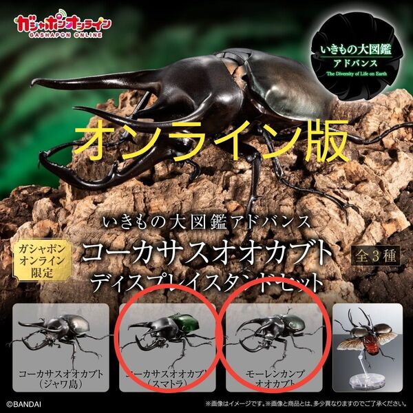 コーカサスオオカブト いきもの大図鑑アドバンス オンライン版 2種類 ディスプレイスタンドセット