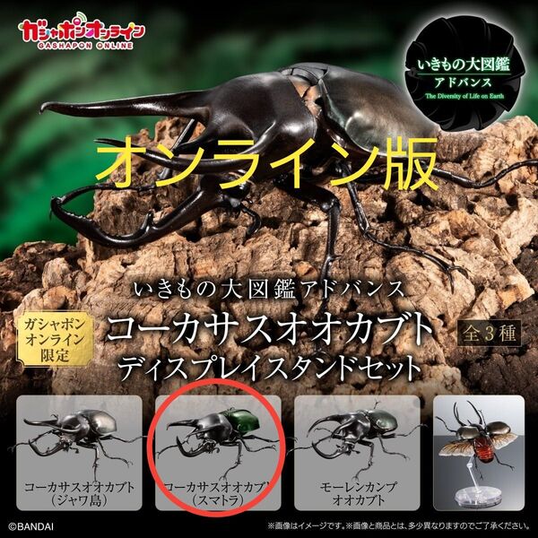 コーカサスオオカブト いきもの大図鑑アドバンス オンライン版 新品未開封