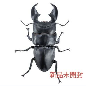 スマトラオオヒラタクワガタ 極太 アニマリエコレクション 新品未開封