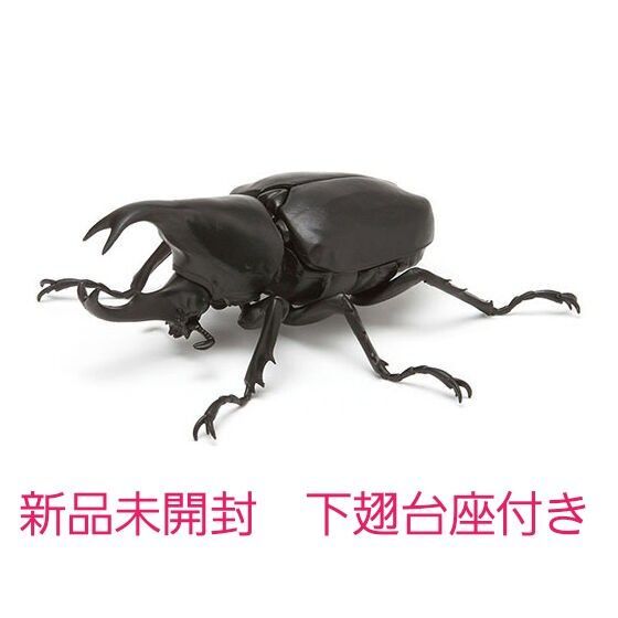 ヒメカブト ブラック いきもの大図鑑かぶとむし03 新品未開封