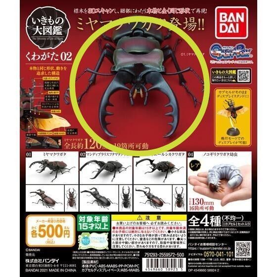ミヤマクワガタ いきもの大図鑑くわがた02 新品未開封 下羽台座付き