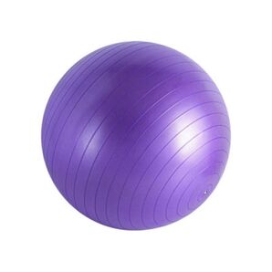 バランスボール 体幹トレーニング ダイエット エクササイズ 健康グッズ ヨガ バランスボール ヨガ 筋トレ