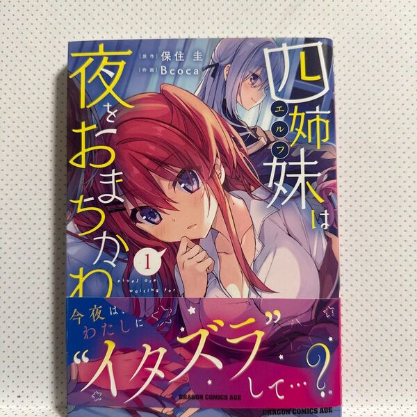 四姉妹(エルフ)は夜をおまちかね 1 (ドラゴンコミックスエイジ) 保住圭/原作 Bcoca/作画