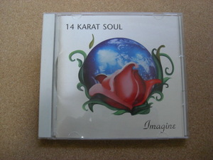 ＊14 Karat Soul／Imagine （PCCY-01164）（日本盤）