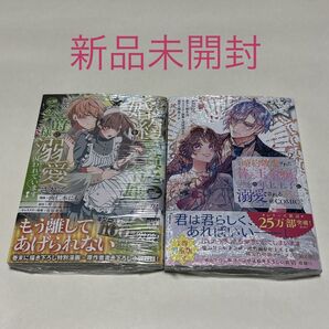成り行きで婚約を申し込んだ弱気貧乏令嬢ですが、何故か次期公爵様に溺愛されて囚われています 婚約破棄された替え玉令嬢
