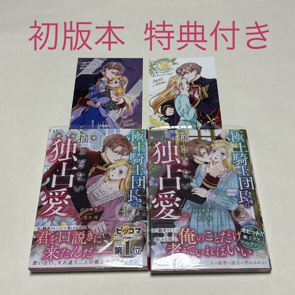 極上騎士団長の揺るぎない独占愛 1〜2巻