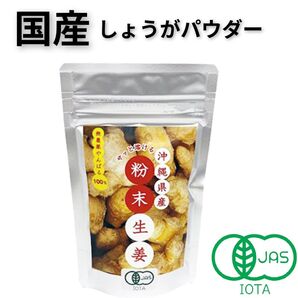 2袋】国産 沖縄県産サッと溶ける粉末生姜 大宜味村 無農薬栽培 JASマーク 有機粉末生姜 しょうが やんばる 大宜味