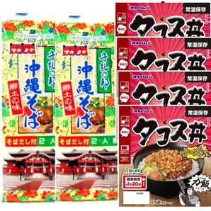 沖縄そば4人前! タコス丼4人前! オキハム レトルト レンチン 沖縄お土産