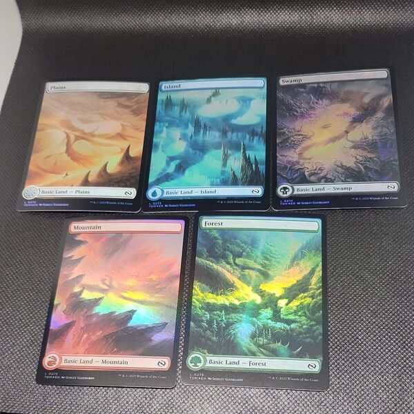 MTG タルキール龍嵐録 TDM ドラゴンの影 フルアート土地 5種セット 英語