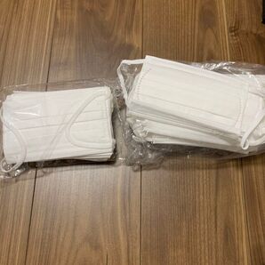 【大容量!】こども 女性用プリーツマスク