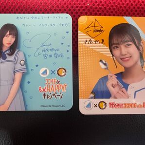日向坂46 オリジナルコースター CoCo壱番屋