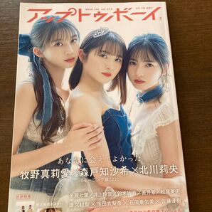 アップトゥボーイ vol.315 2022年7月号 付属品ポスター、ポストカード付