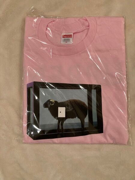 新品未開封 Supreme Damien Hirst Tee Pink ピンク XL シュプリーム ダミアンハースト