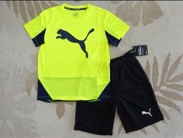 新品 PUMA プーマ 上140・下130 大人気!!快適!!ビッグロゴ半袖Tシャツ(イエロー)・パンツ(ブラック) 上下