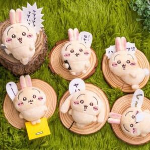 ちいかわ うさぎだらけくじ E賞 ぬいぐるみバッジ コンプ 全種 セット
