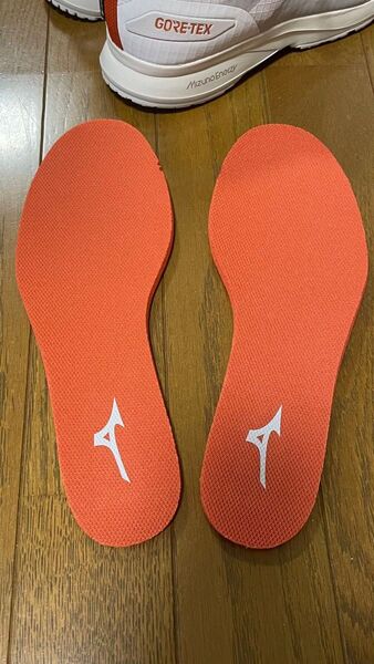 インソール 26cm MIZUNO ME-05 GTX 2 の純正 ミズノ