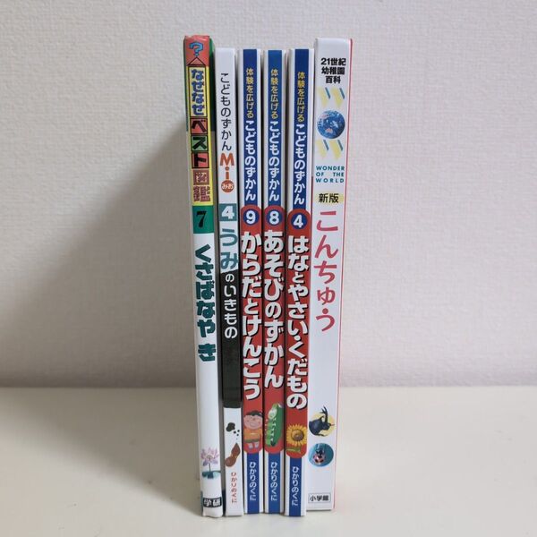 こどものずかん 6冊