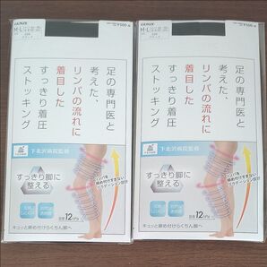 【2個セット】GUNZE (グンゼ) HAQCARE リンパの流れに注目したストッキング M〜L ブラック