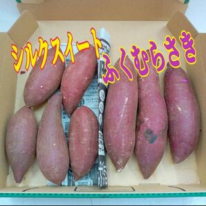 ☆食べ比べ☆ 茨城県産ふくむらさきと 茨城県産 シルクスイート セット
