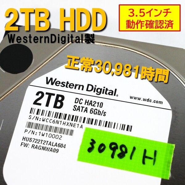 正常】2TB HDD SATA 内蔵 3.5インチ 30981時間 WesternDigital