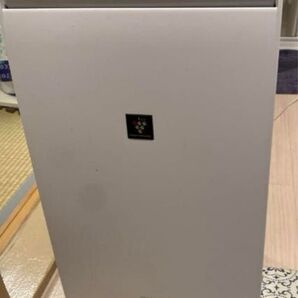 梅雨対策にお値下げ!! SHARP プラズマクラスター 冷風衣類乾燥除湿機 CMーL100 2021年製