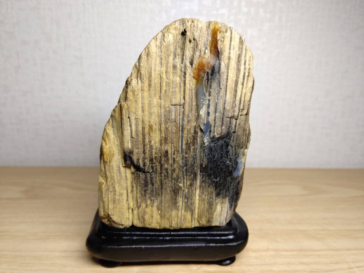 春の最新作!送料無料 アリゾナ珪化木 31 16.6kg 徽章 珪化木 本物保証