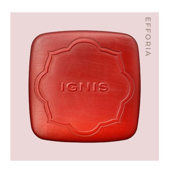 【新品未開封】IGNIS モイストエフフォーリアアンバーソープ 100g
