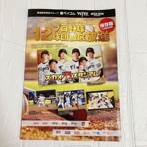 プロ野球 12球団徹底放送 2025 放送スケジュール スケジュール 保存版 公式戦 日程表 2025年 チラシ 阪神タイガース