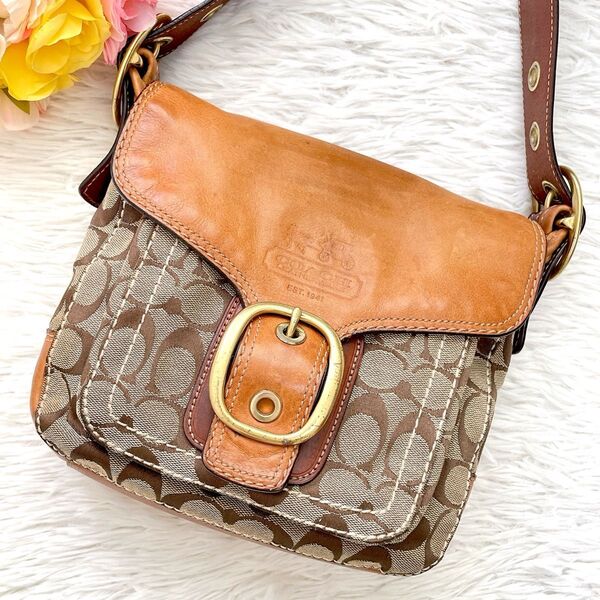 【ヴィンテージ】COACH コーチ ショルダーバッグ キャンバス×レザー シグネチャー 金具 斜めかけ 馬車ロゴ ベルト金具
